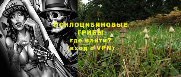 spice Верхний Тагил