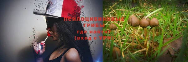 марки nbome Богданович