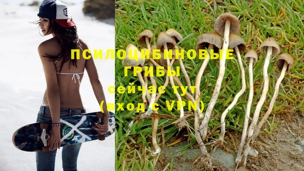 марки nbome Богданович