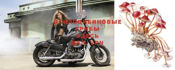 эйфоретик Верея